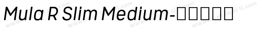 Mula R Slim Medium字体转换